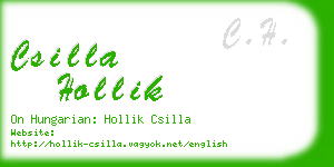 csilla hollik business card